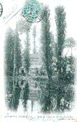 ND 126.jpg
